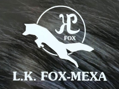LK FOX MEXA